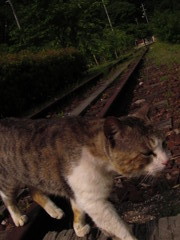 線路は続くよ