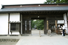 毛越寺