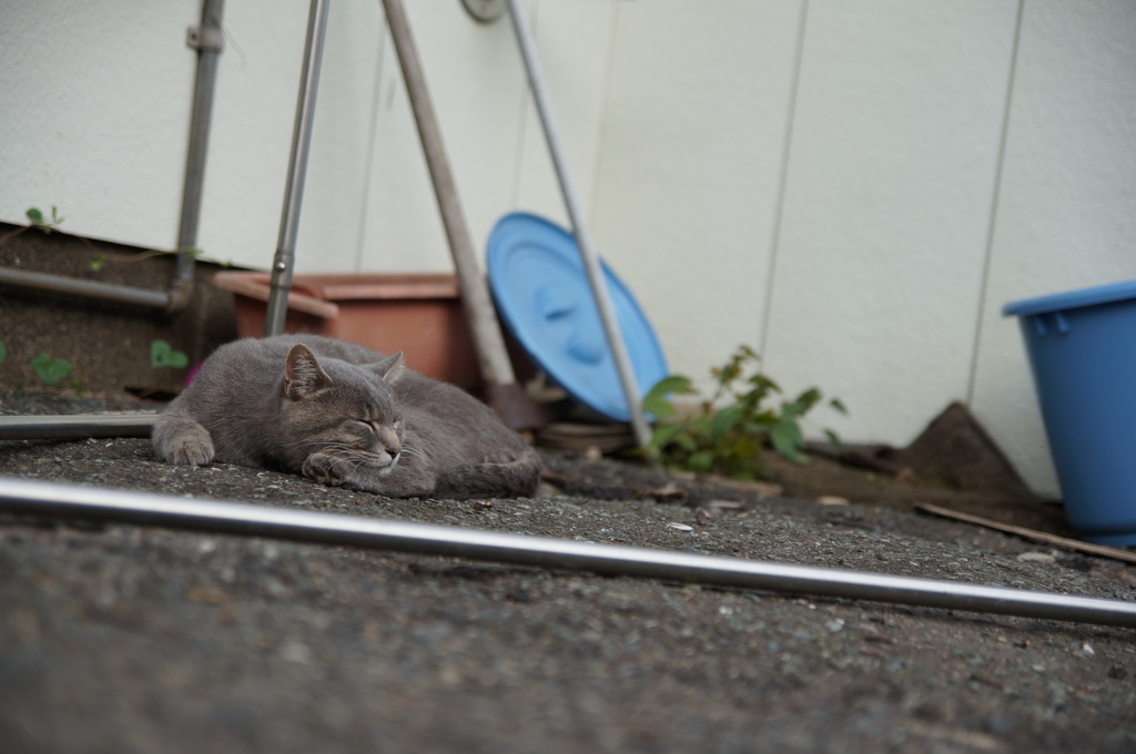 一休み、一休みっと
