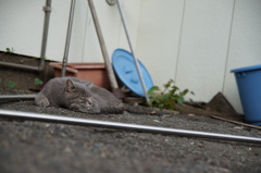 一休み、一休みっと