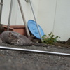 一休み、一休みっと