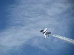 Blue Impulse 10