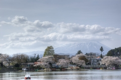 高松の池からの岩手山