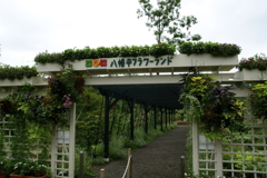 八幡平フラワーランド1