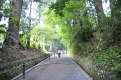 中尊寺・月見坂