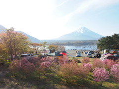 朝起き