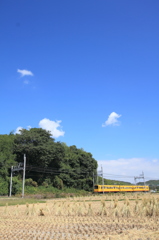 稲刈りの季節