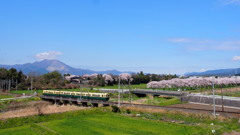 北勢線～春景色～