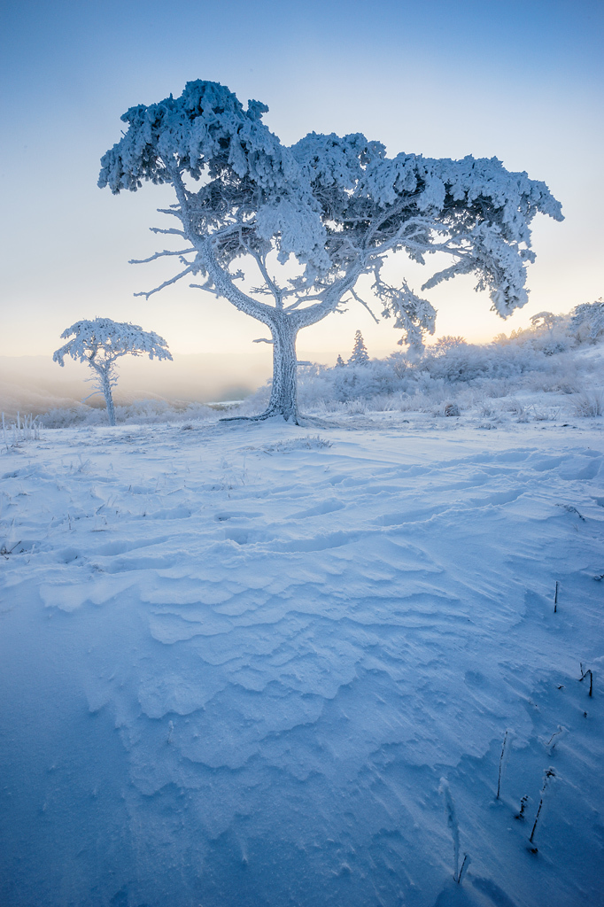 茶臼山の樹氷と朝日