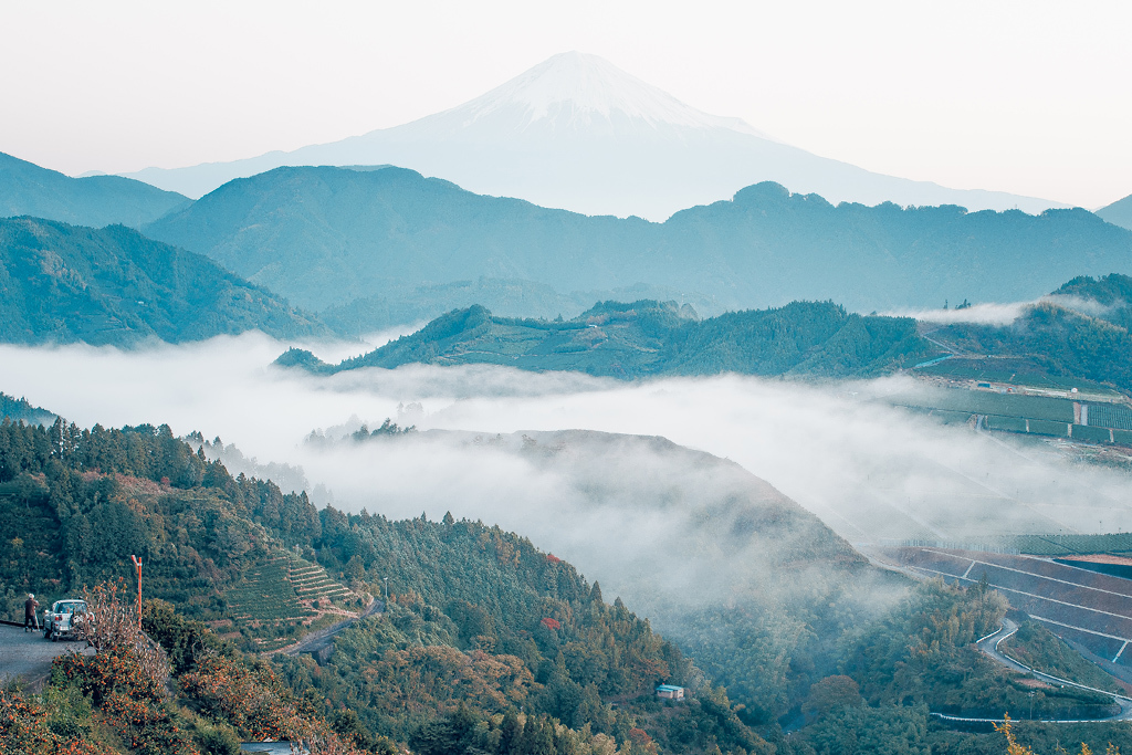 mt. fuji