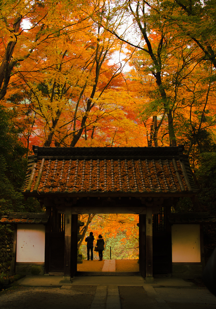 香嵐渓の紅葉