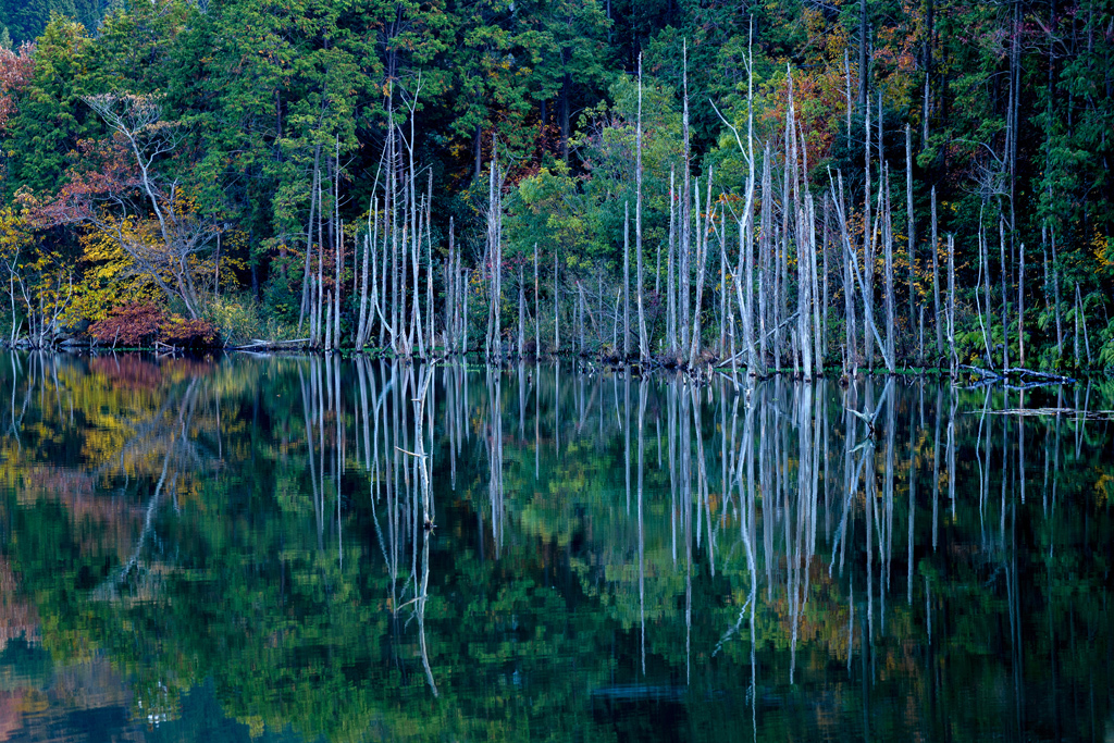 水鏡