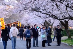 日本を感じる