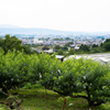 山辺の道から桜井の街？
