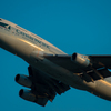 Kansai International Airport