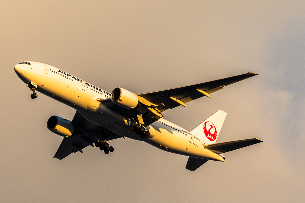 夕陽を浴びるB777