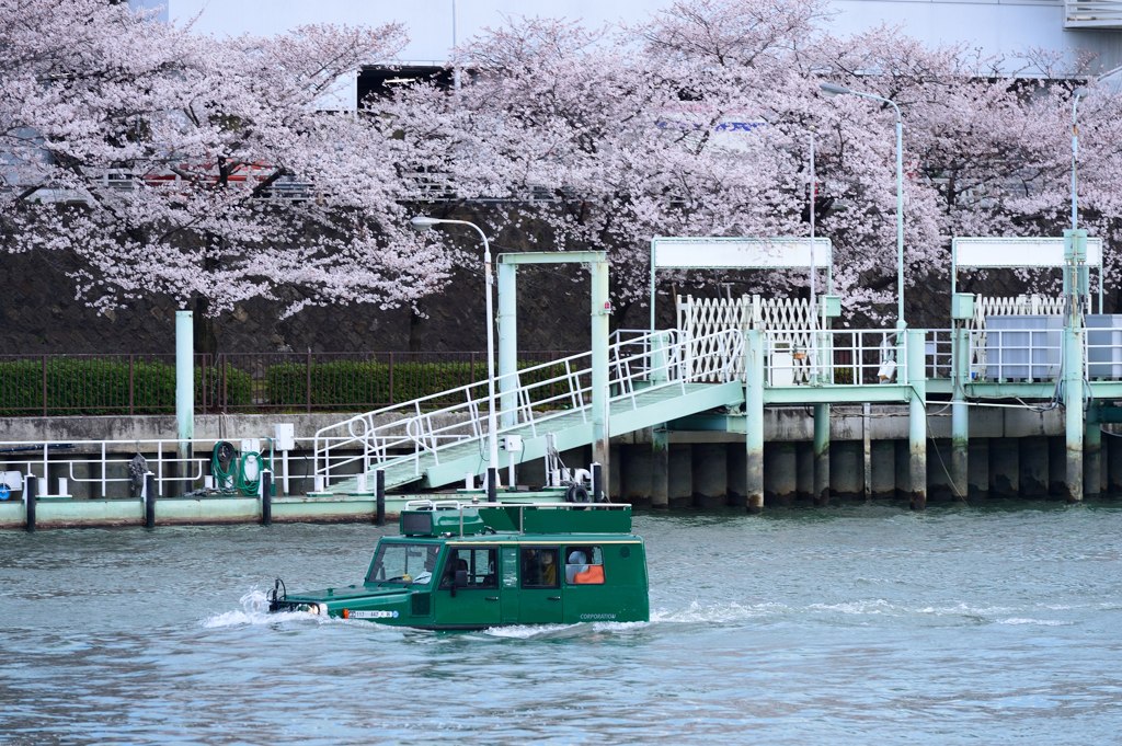 水陸両用車で春散歩