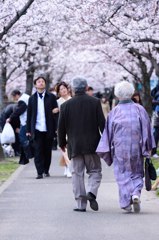 春の散歩
