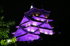 ムラサキ大阪城