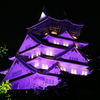 ムラサキ大阪城