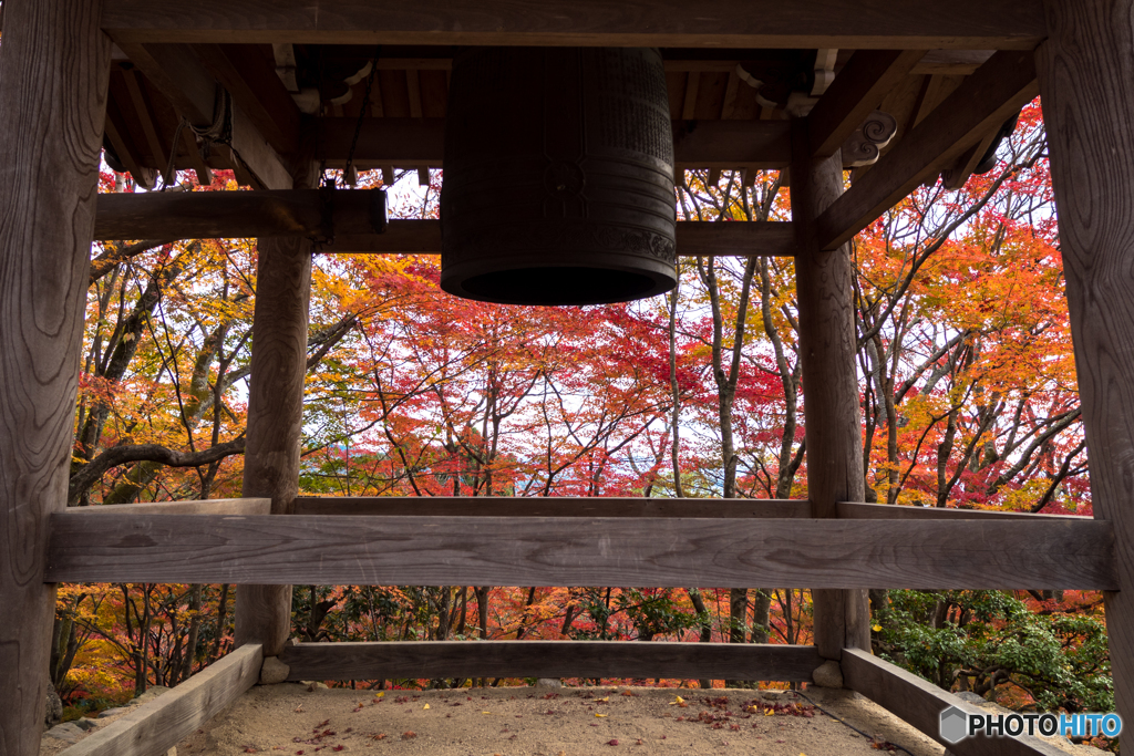 常寂光寺（京都）