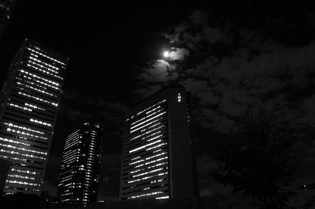 京橋の月夜