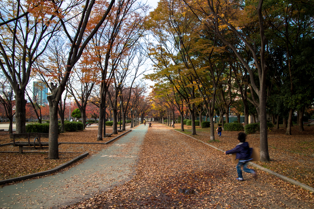 秋の大川