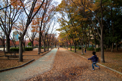 秋の大川