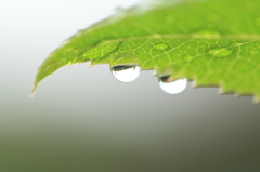 雨上がり