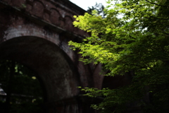 南禅寺　琵琶湖疏水と青もみじ