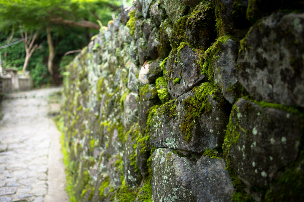 山辺の道