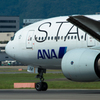 Star Alliance