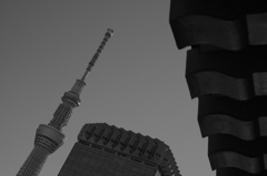 とあるツリーの風景