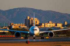 夕陽の中の787