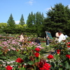 靭公園