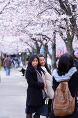 異国の春