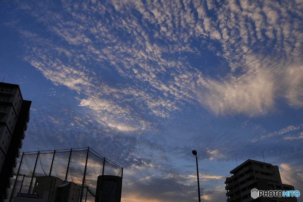 秋雲