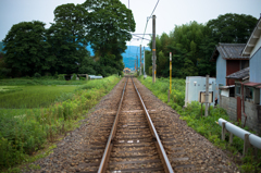 山辺の道