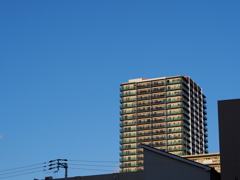 青空にニョキ