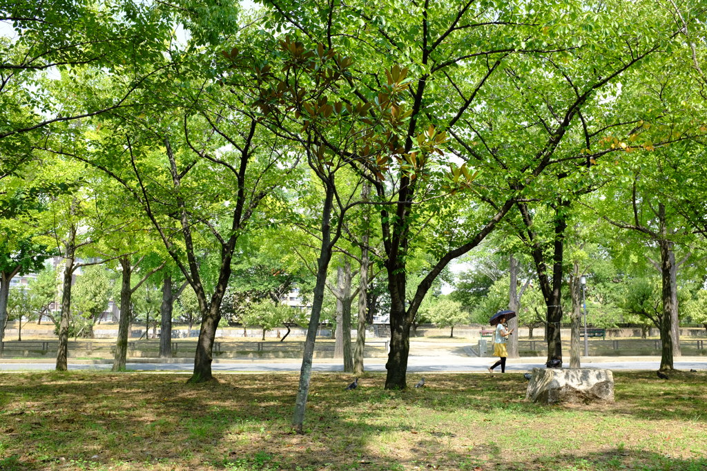 散歩道