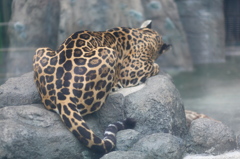 おばちゃんって呼ばれた。。。