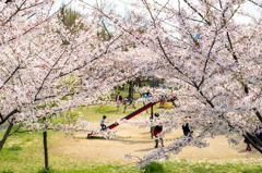 大川の河川敷公園