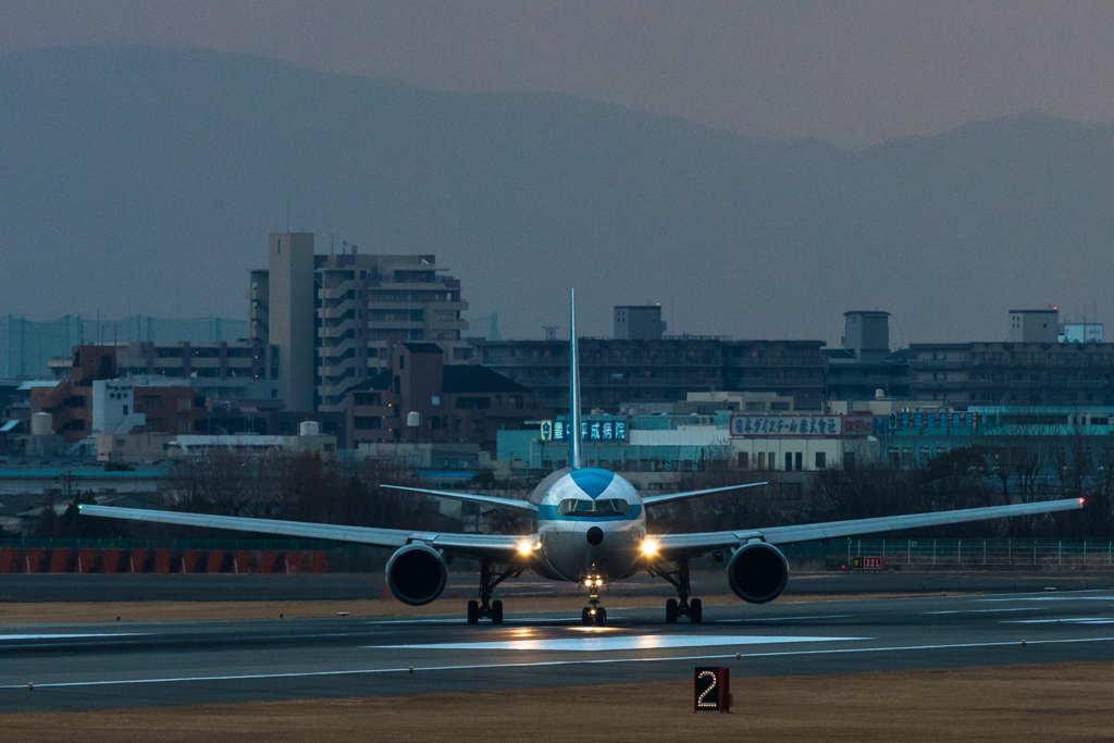 伊丹空港　モヒカン