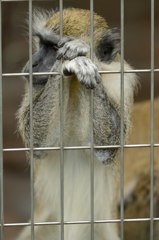 ハァ〜。アッちゃん卒業するんか。。。