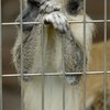 ハァ〜。アッちゃん卒業するんか。。。