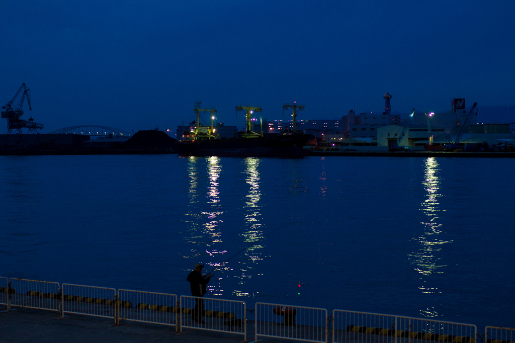 天保山で夜釣り