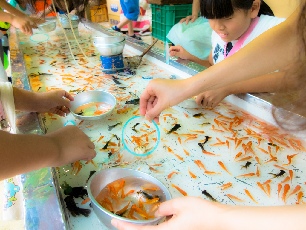 金魚すくい