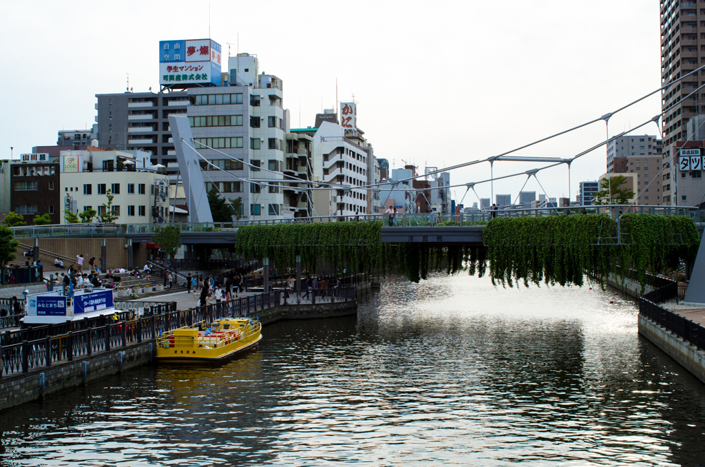 都会のオアシス