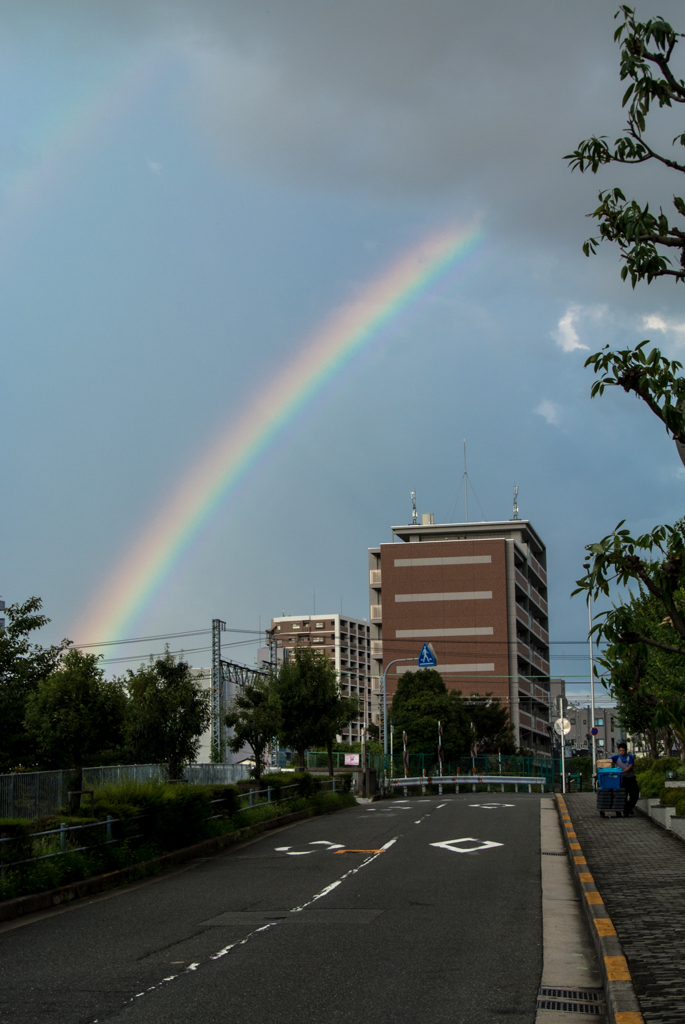 京橋に虹