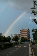 京橋に虹